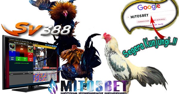 situs judi sabung ayam online 24 jam